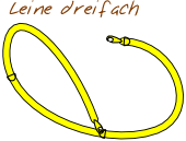 Leine dreifach