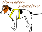 Nur-Leder-X-Geschirr