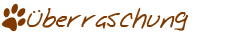 &Uuml;berraschung